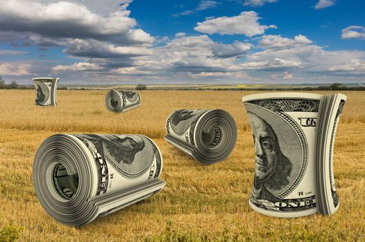 collage rolls of dollar bills in a wheat field, 3D rendering.