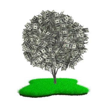 tree with dollars bills on the green grass