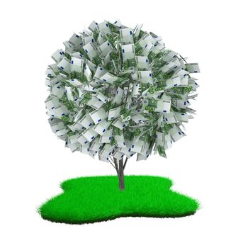 tree with euro bills on the green grass
