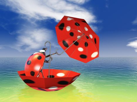 ladybug with umbrellas floating on the water