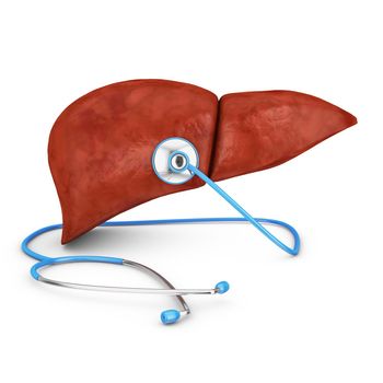 human liver and a stethoscope on a white background