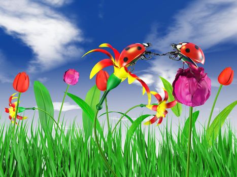 two ladybugs sitting on the flowers on the sky background