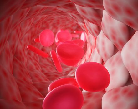 blood corpuscles in the blood vessel-3d render