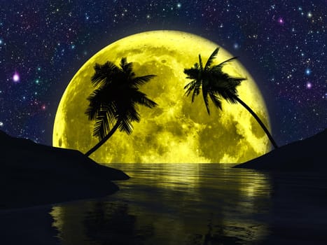 Silhouettes of palm trees on the beach on the background of the moon and the stars.