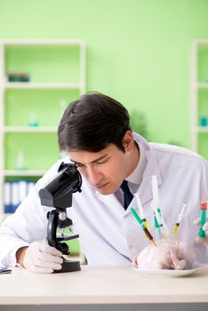 Lab assistant testing GMO chicken