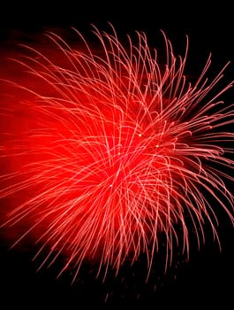 Colorful fireworks isolated on black sky background.