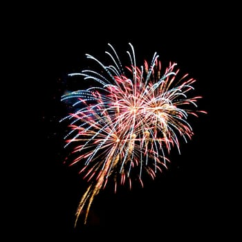 Colorful fireworks isolated on black sky background.