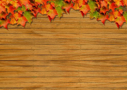 Autumn background image