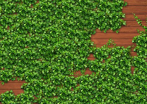 brown wooden wall and ivy / background texture