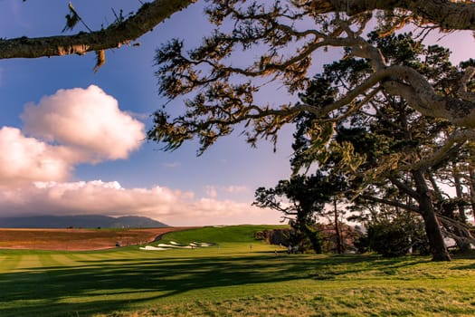 Coastline golf course, greens and bunkers in California, usa