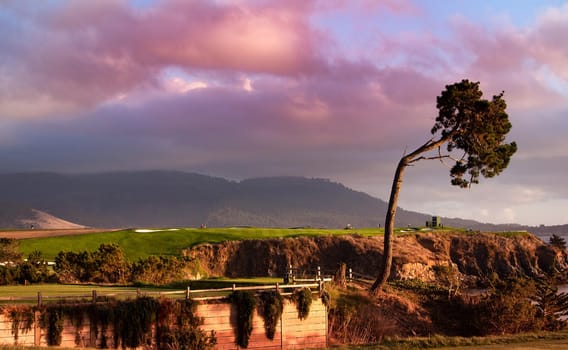 Coastline golf course, greens and bunkers in California, usa