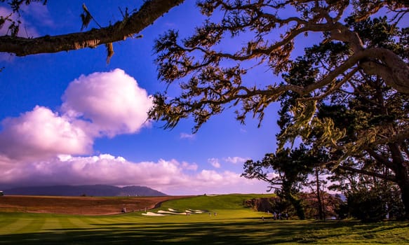 Coastline golf course, greens and bunkers in California, usa