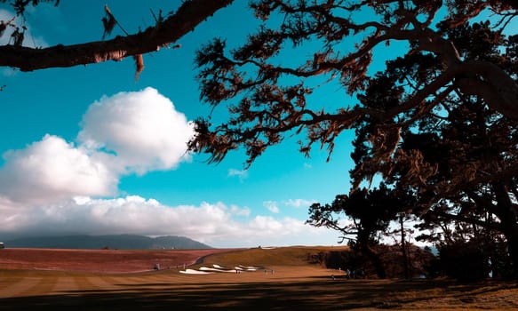 Coastline golf course, greens and bunkers in California, usa