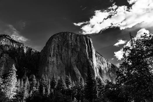 World famous rock climbing wall of El Capitan, Yosemite national park, California, usa