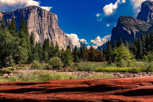 Yosemite valley, Yosemite national park, California, usa