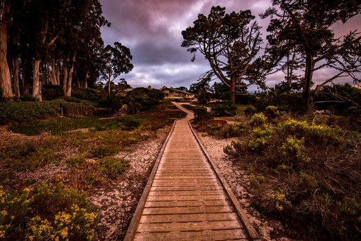 Coastline golf course, greens and bunkers in California, usa