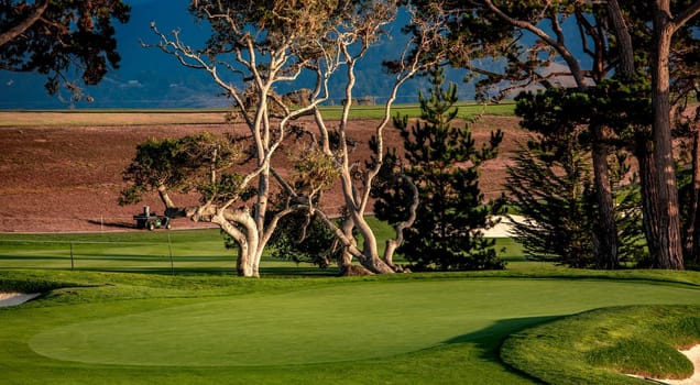 Coastline golf course, greens and bunkers in California, usa