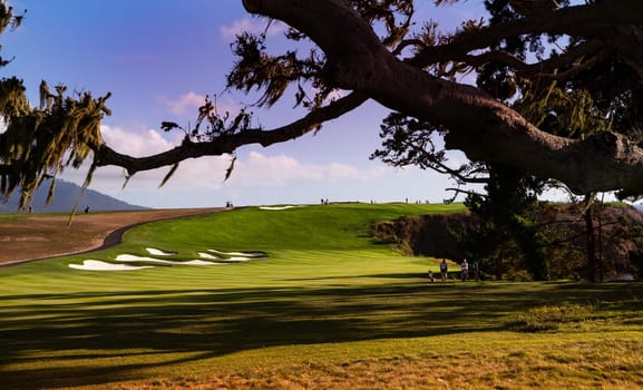 Coastline golf course, greens and bunkers in California, usa