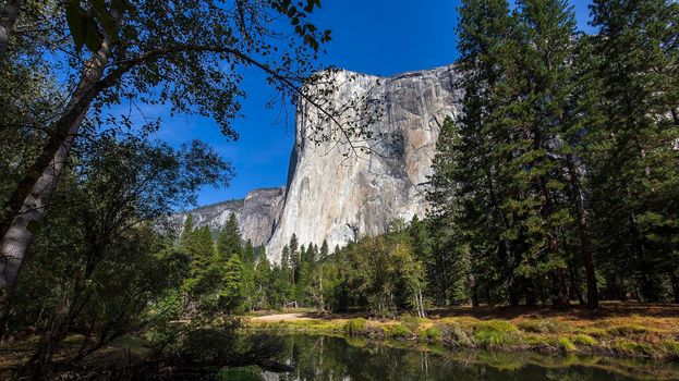 World famous rock climbing wall of El Capitan, Yosemite national park, California, usa