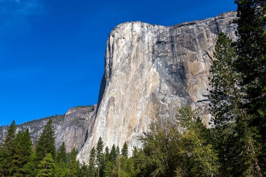 World famous rock climbing wall of El Capitan, Yosemite national park, California, usa