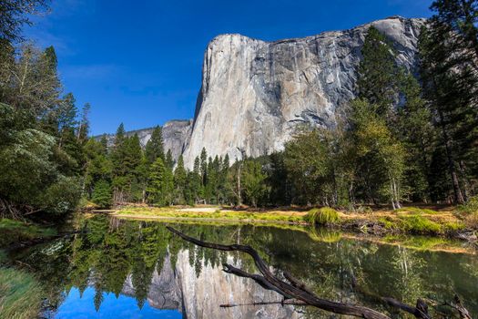 World famous rock climbing wall of El Capitan, Yosemite national park, California, usa