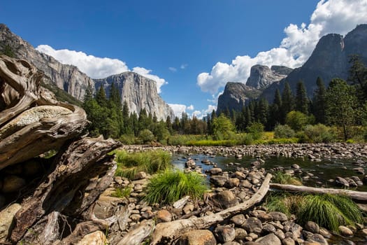 World famous rock climbing wall of El Capitan, Yosemite national park, California, usa