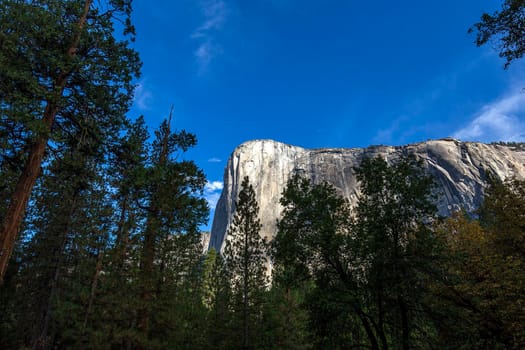 World famous rock climbing wall of El Capitan, Yosemite national park, California, usa