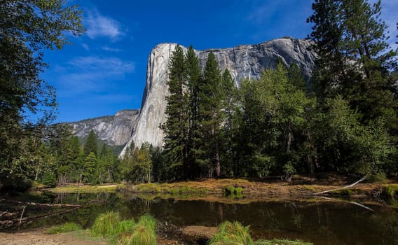 World famous rock climbing wall of El Capitan, Yosemite national park, California, usa