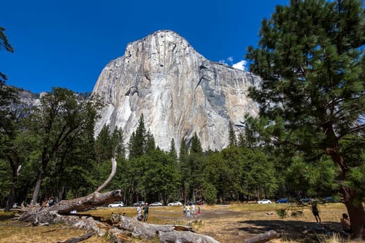 World famous rock climbing wall of El Capitan, Yosemite national park, California, usa