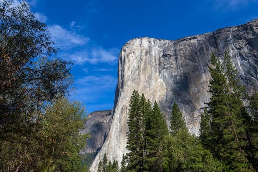 World famous rock climbing wall of El Capitan, Yosemite national park, California, usa