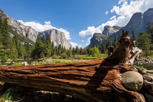 World famous rock climbing wall of El Capitan, Yosemite national park, California, usa