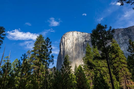 World famous rock climbing wall of El Capitan, Yosemite national park, California, usa