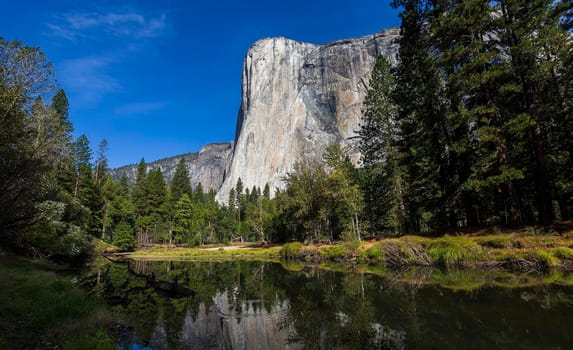 World famous rock climbing wall of El Capitan, Yosemite national park, California, usa