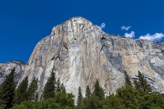 World famous rock climbing wall of El Capitan, Yosemite national park, California, usa