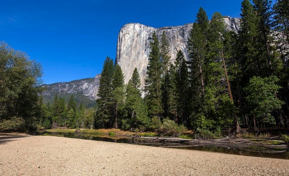 World famous rock climbing wall of El Capitan, Yosemite national park, California, usa