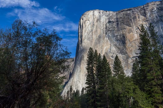 World famous rock climbing wall of El Capitan, Yosemite national park, California, usa