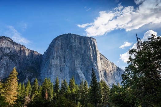 World famous rock climbing wall of El Capitan, Yosemite national park, California, usa