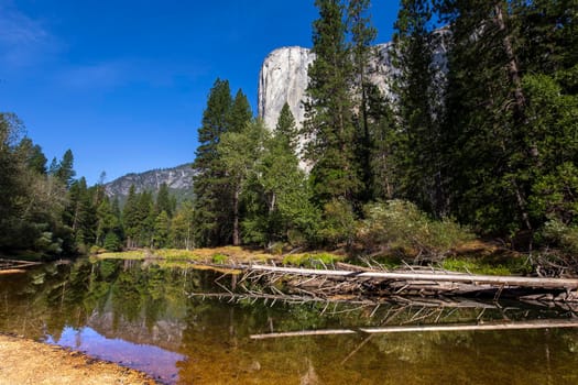 World famous rock climbing wall of El Capitan, Yosemite national park, California, usa