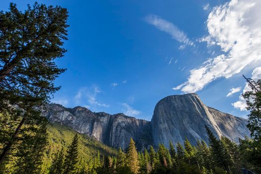 World famous rock climbing wall of El Capitan, Yosemite national park, California, usa