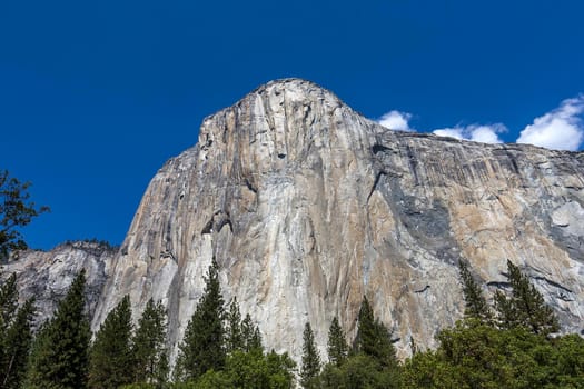 World famous rock climbing wall of El Capitan, Yosemite national park, California, usa