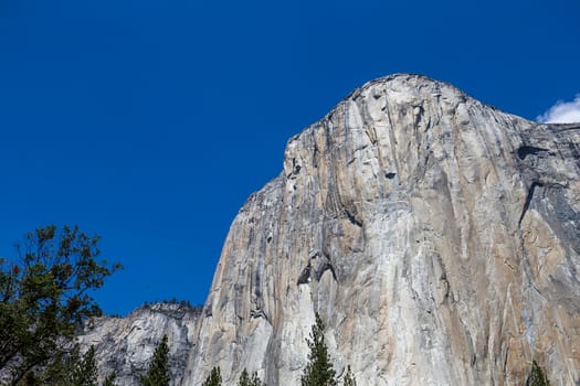 World famous rock climbing wall of El Capitan, Yosemite national park, California, usa