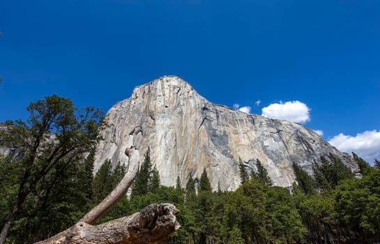 World famous rock climbing wall of El Capitan, Yosemite national park, California, usa