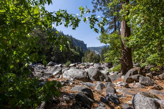 Yosemite valley, Yosemite national park, California, usa