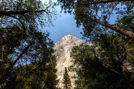 World famous rock climbing wall of El Capitan, Yosemite national park, California, usa