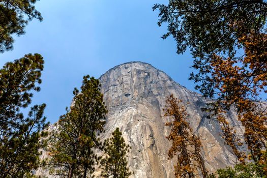 World famous rock climbing wall of El Capitan, Yosemite national park, California, usa