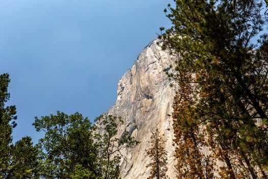 World famous rock climbing wall of El Capitan, Yosemite national park, California, usa