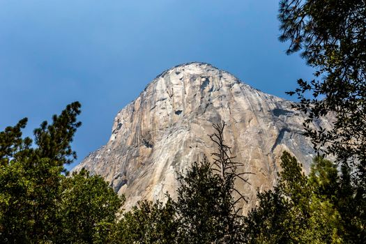 World famous rock climbing wall of El Capitan, Yosemite national park, California, usa