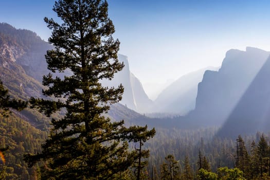 Yosemite valley at the sunrise, Yosemite national park, California, usa