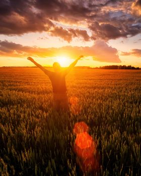 Silhouette of a man raise his hands up to sunset or sunrise on the field with young rye or wheat in the summer with a cloudy sky background. 