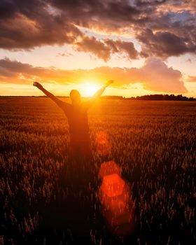 Silhouette of a man raise his hands up to sunset or sunrise on the field with young rye or wheat in the summer with a cloudy sky background. 